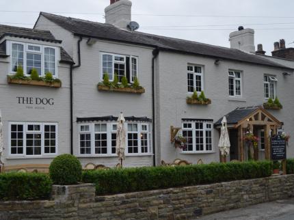 DOG HIGH LEGH KNUTSFORD