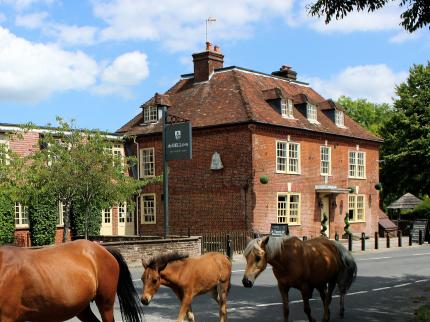 BELL INN HOTEL BANK LYNDHURST