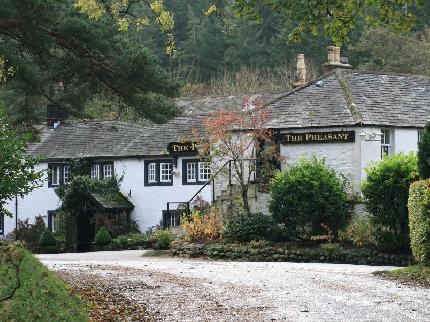 PHEASANT BEWALDETH COCKERMOUTH