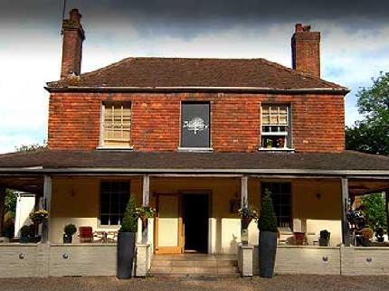 MULBERRY BOWLHEAD GREEN CHIDDINGFOLD