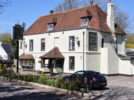 GEORGE FALCON BISHOPS WALTHAM SOUTHAMPTON