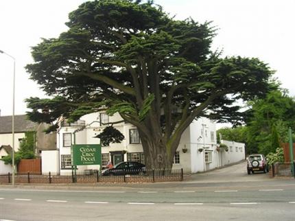 Cedar Tree Hotel&nbsp;| Abbots Bromley&nbsp;| Rugeley&nbsp;| 