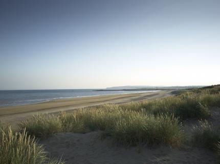 The Gallivant&nbsp;| Beckley&nbsp;| Camber&nbsp;| 