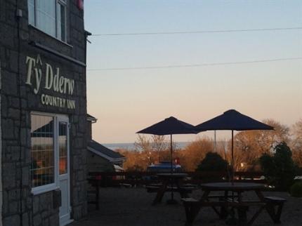 TY DDERW COUNTRY INN MOELFRE