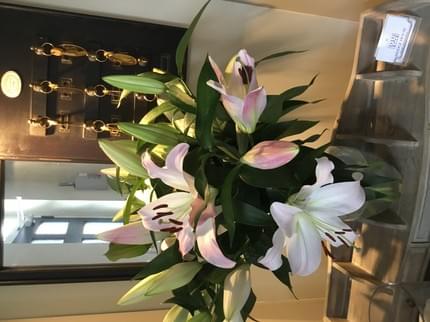 BRIDGE HOUSE ASTON CREWS ROSS ON WYE