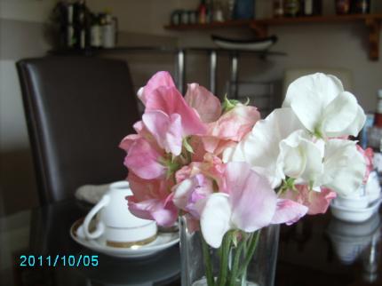 MORAY BAY BED AND BREAKFAST CULCABOCK INVERNESS