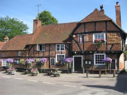 PLUME OF FEATHERS BATTS CORNER FARNHAM