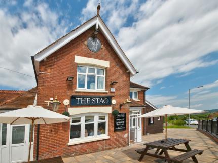 STAG ISLE OF WIGHT ARRETON NEWPORT