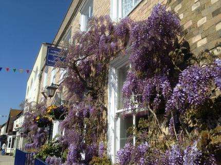 WISTERIA HOUSE BATTRAMSLEY LYMINGTON