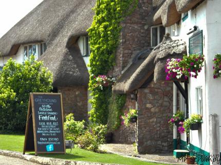 Greyhound Country Inn&nbsp;| Awliscombe&nbsp;| Honiton&nbsp;| 