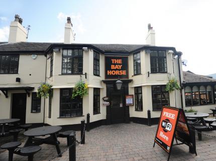 BAY HORSE BY GOOD NIGHT INNS ASHTON IN MAKERFIELD WIGAN