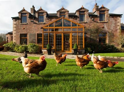 BLACKWELL HOUSE BANBRIDGE