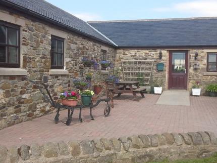 JOINED UP HOLIDAYS BEDBURN BISHOP AUCKLAND