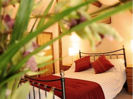 TY MORGANS BWLCH Y SARNAU RHAYADER