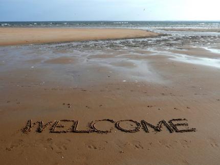 2 QUAIL ACHOSNICH DORNOCH