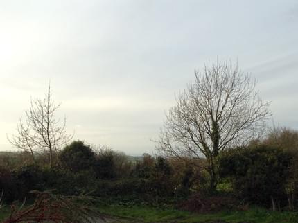 The Cornish Arms&nbsp;| Blisland&nbsp;| Bodmin&nbsp;| 