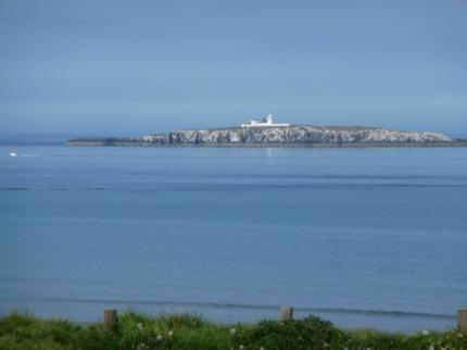GUN ROCK ELFORD SEAHOUSES