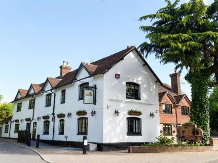 VILLAGE INN BURITON PETERSFIELD