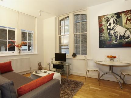 SAINT PAUL S APARTMENT BLACKFRIARS LONDON
