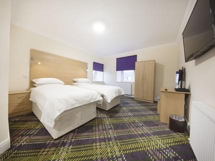 BAY HORSE ALLANTON HAMILTON