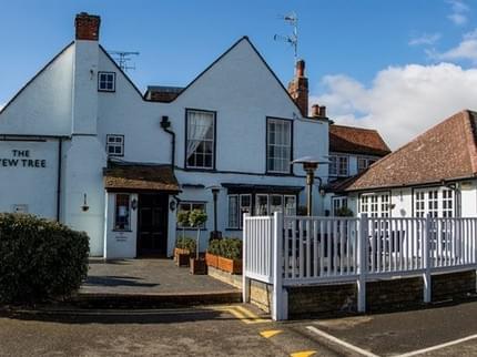 YEW TREE BERDEN MANUDEN