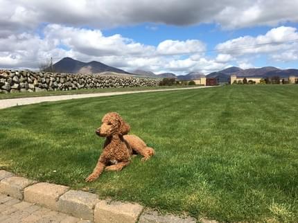 SILENT VALLEY BED BREAKFAST NEWRY